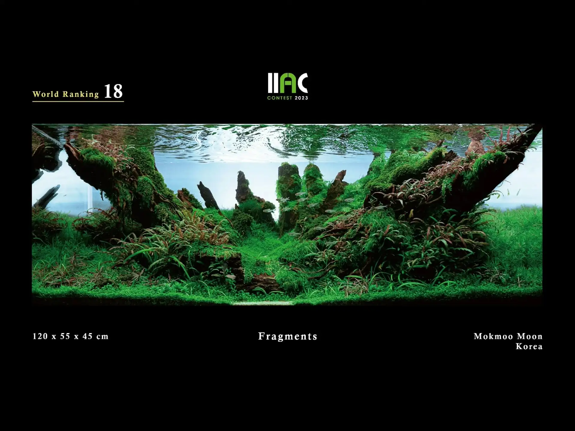 Fragments - IIAC 2023 #18 Mokmoo Moon / South Korea